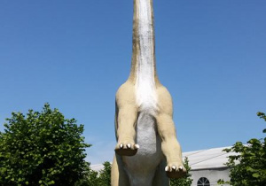 Dinopark w Kołacinku 12